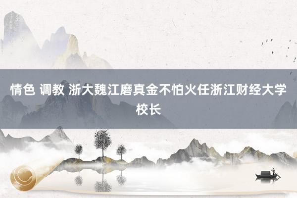 情色 调教 浙大魏江磨真金不怕火任浙江财经大学校长
