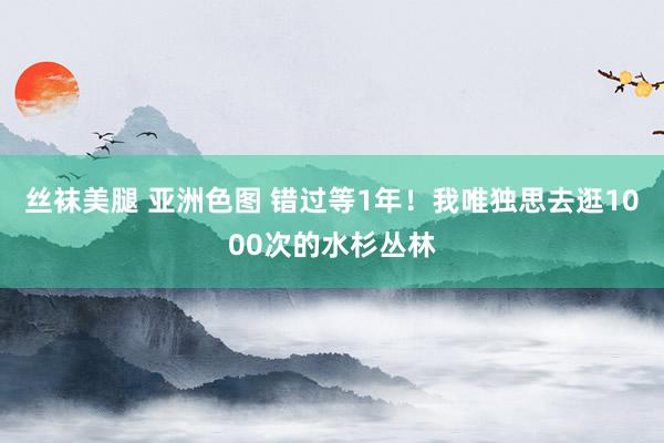 丝袜美腿 亚洲色图 错过等1年!我唯独思去逛1000次的水杉丛林