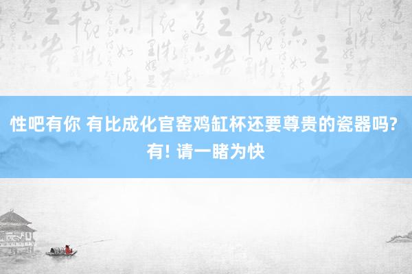 性吧有你 有比成化官窑鸡缸杯还要尊贵的瓷器吗? 有! 请一睹为快