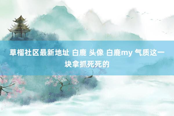 草榴社区最新地址 白鹿 头像 白鹿my 气质这一块拿抓死死的